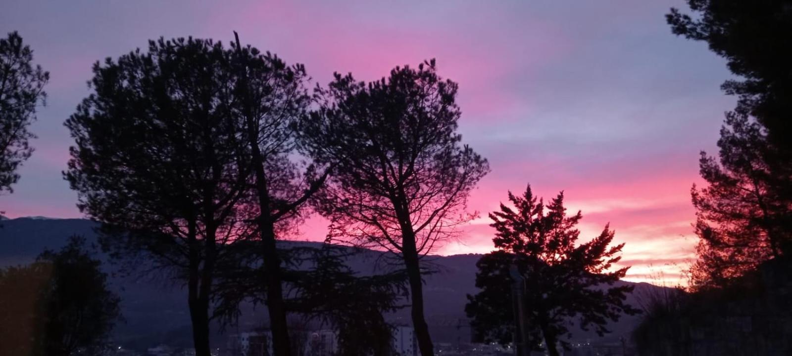 Parco Dei Gelsomini Bed and Breakfast Ασκόλι Πιτσένο Εξωτερικό φωτογραφία