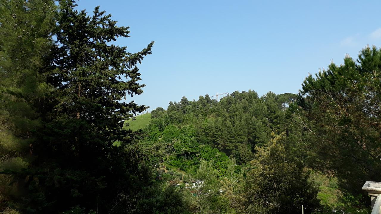 Parco Dei Gelsomini Bed and Breakfast Ασκόλι Πιτσένο Εξωτερικό φωτογραφία