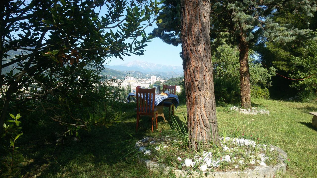 Parco Dei Gelsomini Bed and Breakfast Ασκόλι Πιτσένο Εξωτερικό φωτογραφία